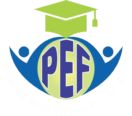 promise Edu Foundation